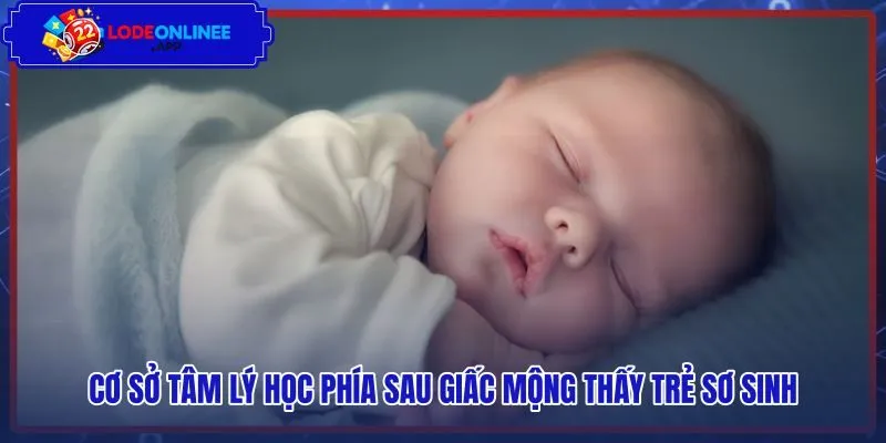 Góc nhìn khoa học tâm lý về giấc mộng trẻ sơ sinh
