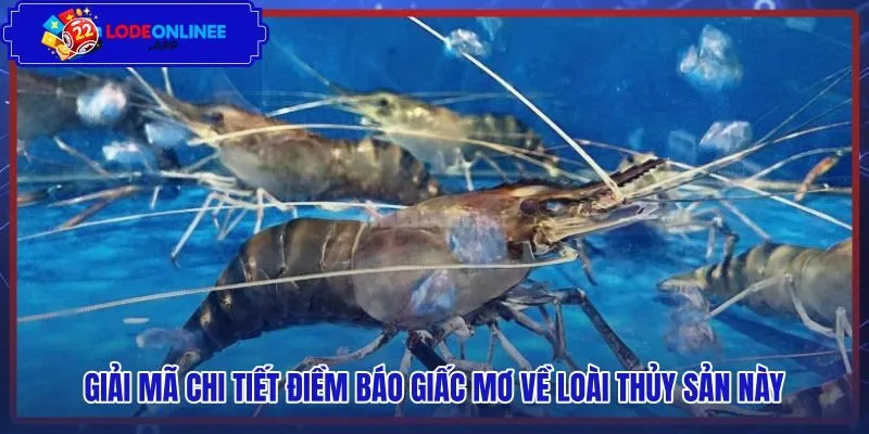 Thông điệp điềm báo lành dữ qua hình ảnh chiêm bao