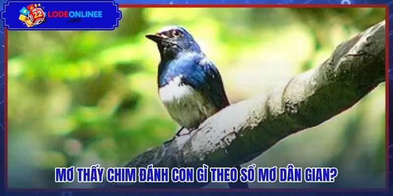 Bộ số may mắn dân gian tương ứng giấc mộng loài chim