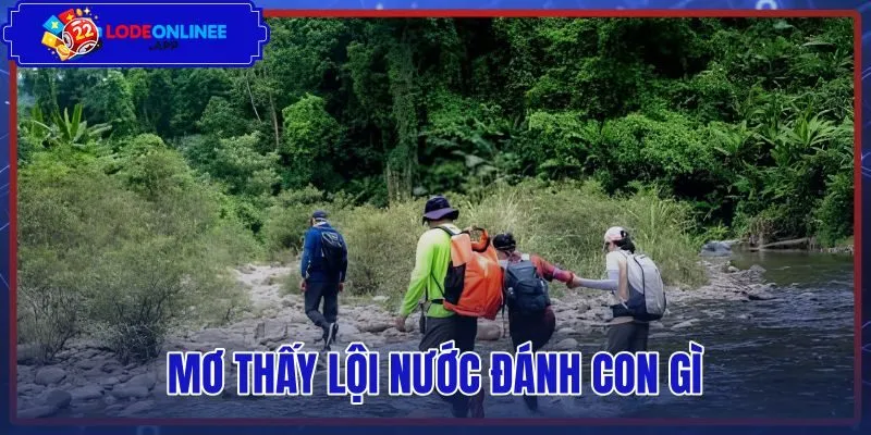 Mơ Thấy Lội Nước Đánh Con Gì - Điềm Báo Và Bảng Số Mơ