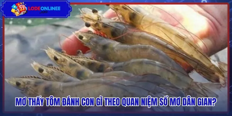 Các cặp số dân gian tương ứng với từng giấc chiêm bao