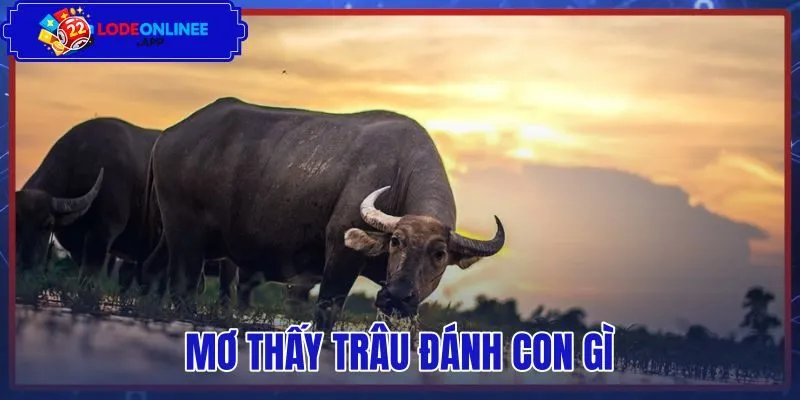 Mơ Thấy Trâu Đánh Con Gì - Tra Cứu Sổ Mơ Bộ Số 03 63 86