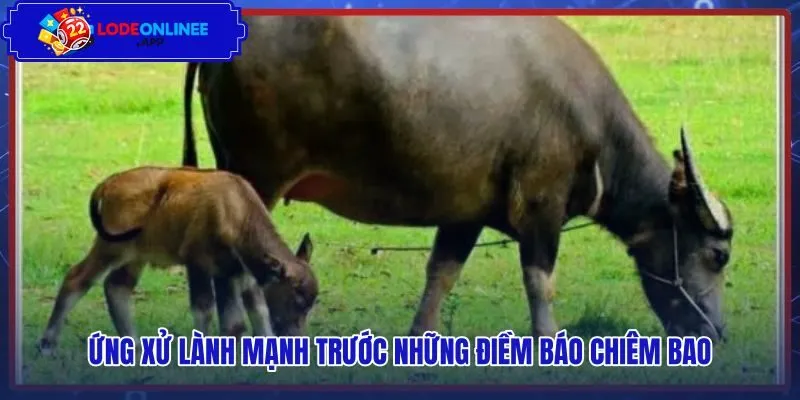 Ranh giới giải trí lành mạnh cùng thái độ sống tỉnh táo