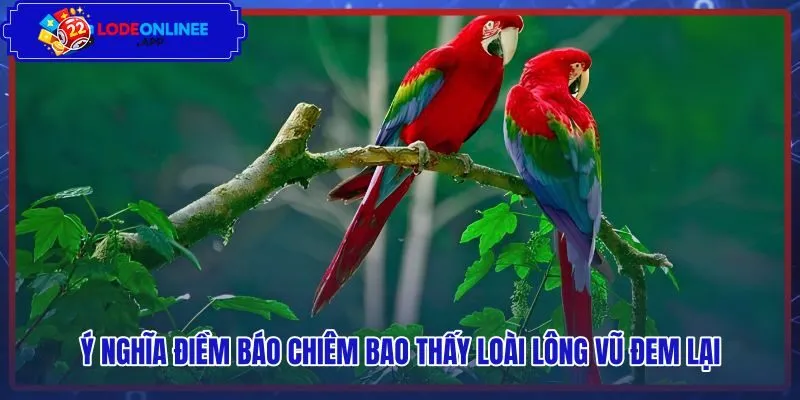 Thông điệp điềm báo lành dữ từ giấc mộng loài lông vũ